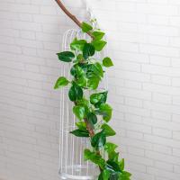 uploads/erp/collection/images/Home Garden/CongDing/XU0612095/img_b/XU0612095_img_b_2